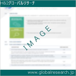 グローバルリサーチ調査レポートのイメージ